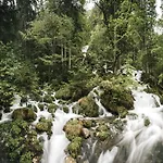 Apartment Naturparkresort Alte Schule *