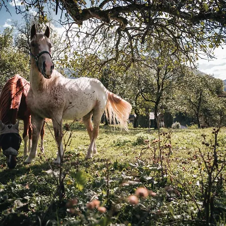 Naturparkresort Alte Schule *