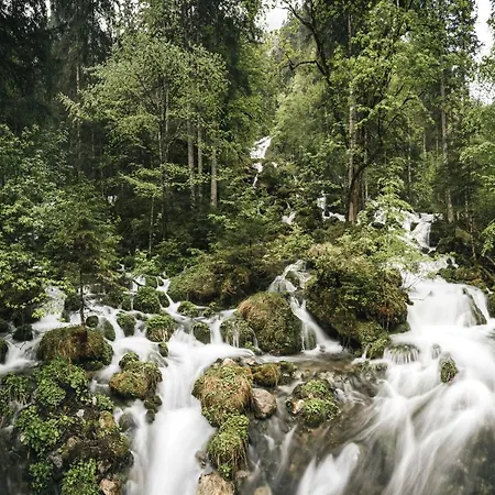 Апартаменты Naturparkresort Alte Schule *