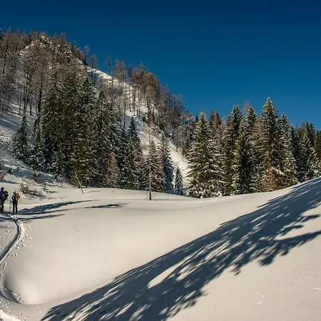Naturparkresort Alte Schule *