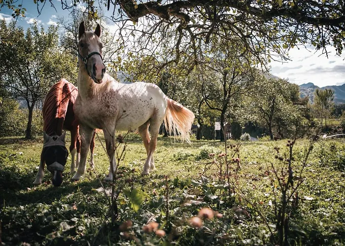 Naturparkresort Alte Schule *