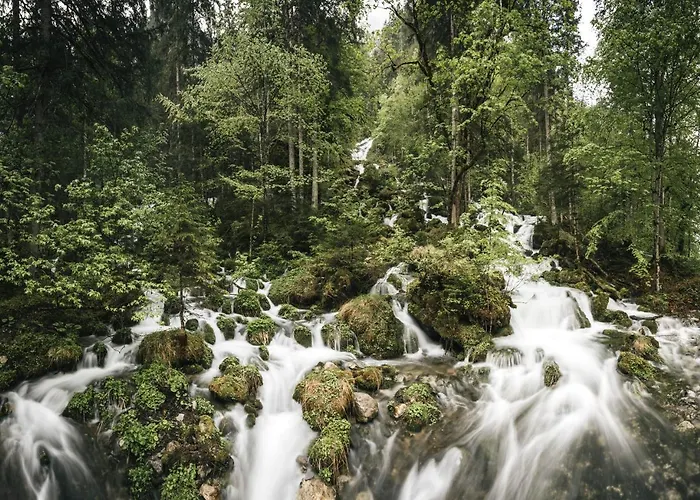 Apartament Naturparkresort Alte Schule *