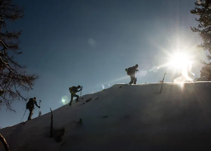 Naturparkresort Alte Schule *