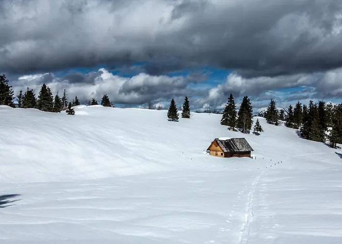 Naturparkresort Alte Schule Appartement *